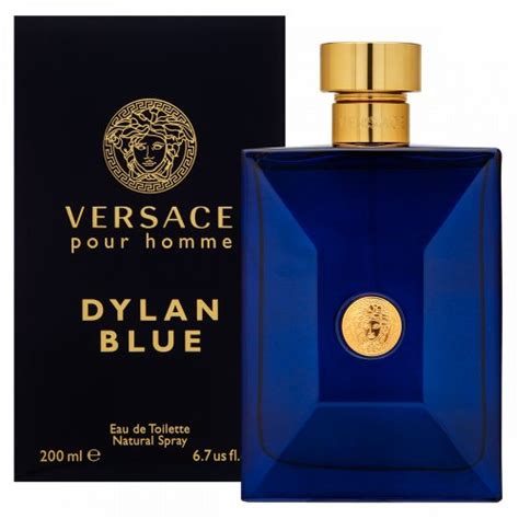 versace dylan blue eau de toilette von diamante|versace dylan blue 200 ml.